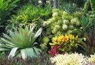 Swifts Creeksustainable-landscaping-3.jpg; ?>